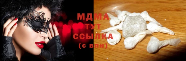 прущие грибы Верея