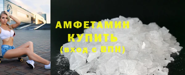 прущие грибы Верея