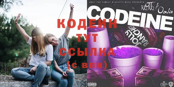 прущие грибы Верея