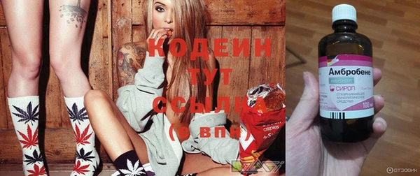прущие грибы Верея