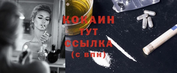 прущие грибы Верея