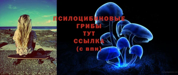 прущие грибы Верея